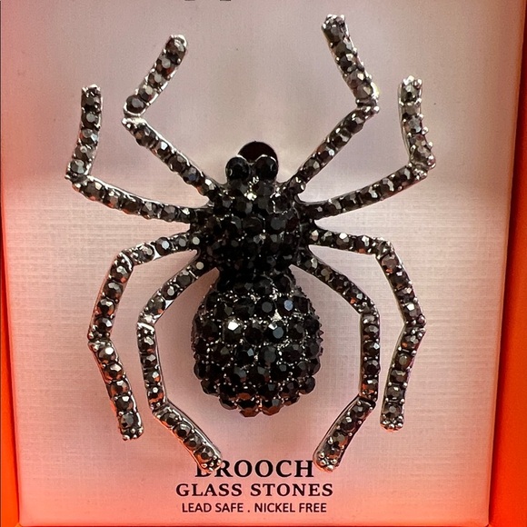 Piper K | Spider 🕷️ Brooch - Picture 8 of 8